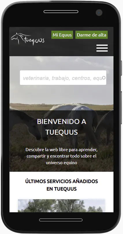 tuequus.com
